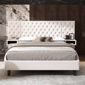 Queen Size Velvet Platform Bed with Tufted Headboard and Storage
