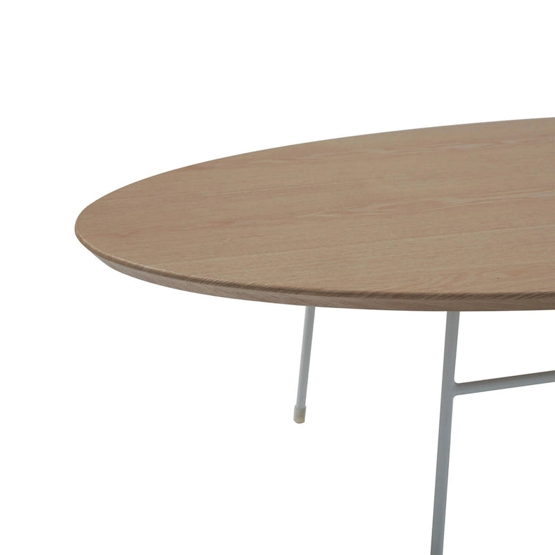 Modern Oval Coffee Table with Powder-Coated Steel Frame